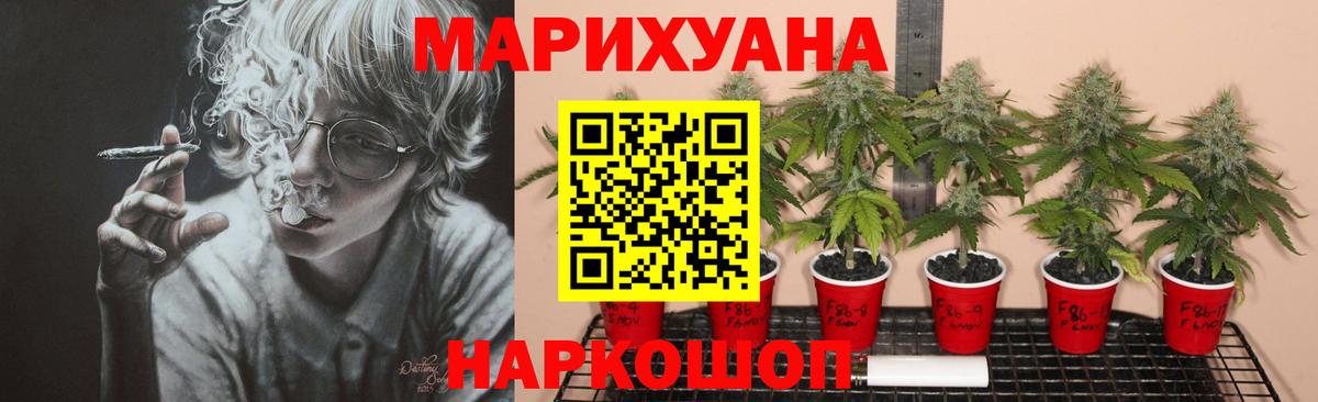 Кизилюрт  Бошки марихуана семена  Марихуана конопля  Марихуана гибрид  Вход с VPN 